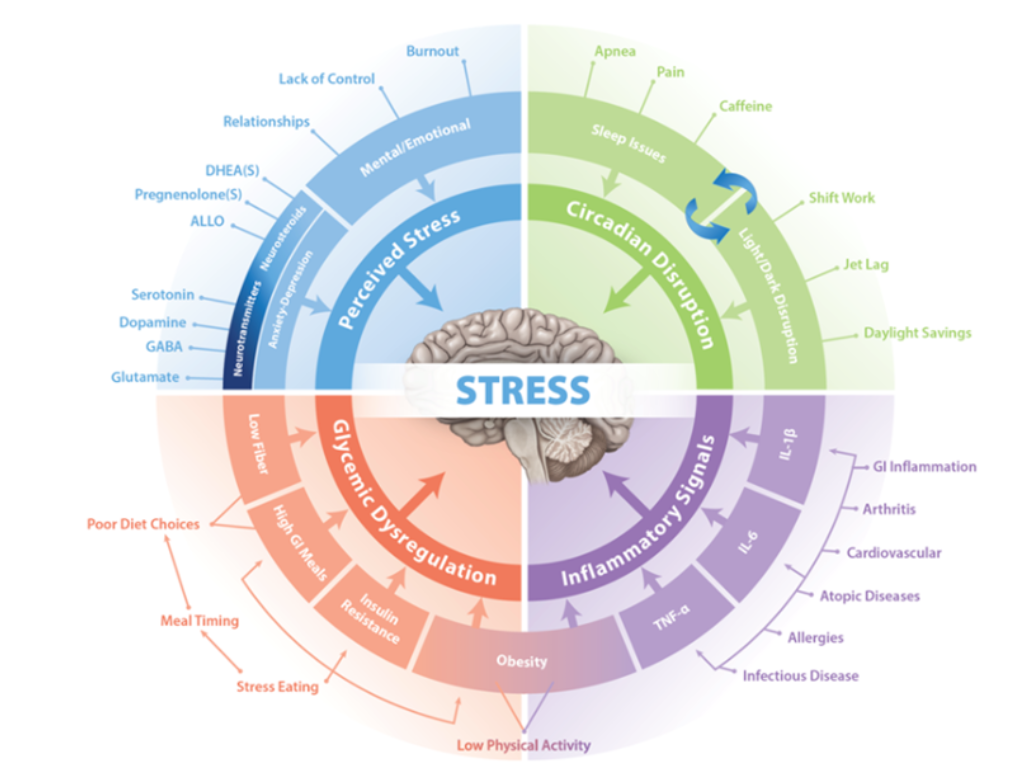 Schematisk bild som illustrerar olika typer av stress. 